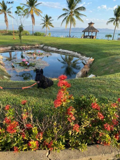 Acapulco Diamante Hermoso Departamento Екстер'єр фото