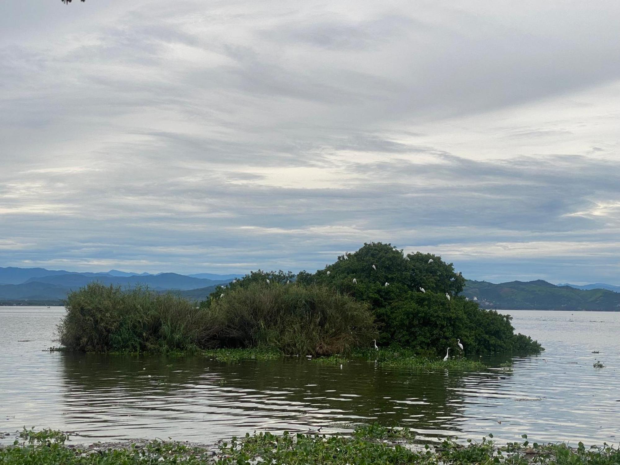 Acapulco Diamante Hermoso Departamento Екстер'єр фото